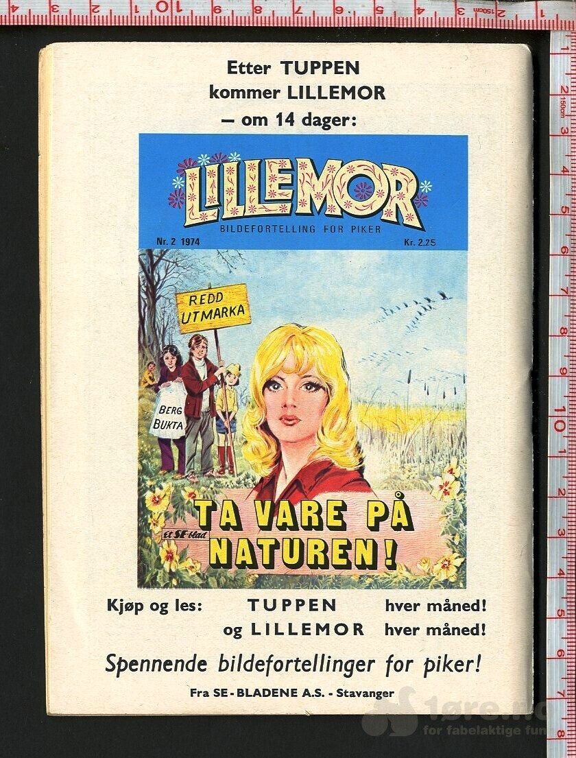 Tuppen nr.2 1974, bilde 2