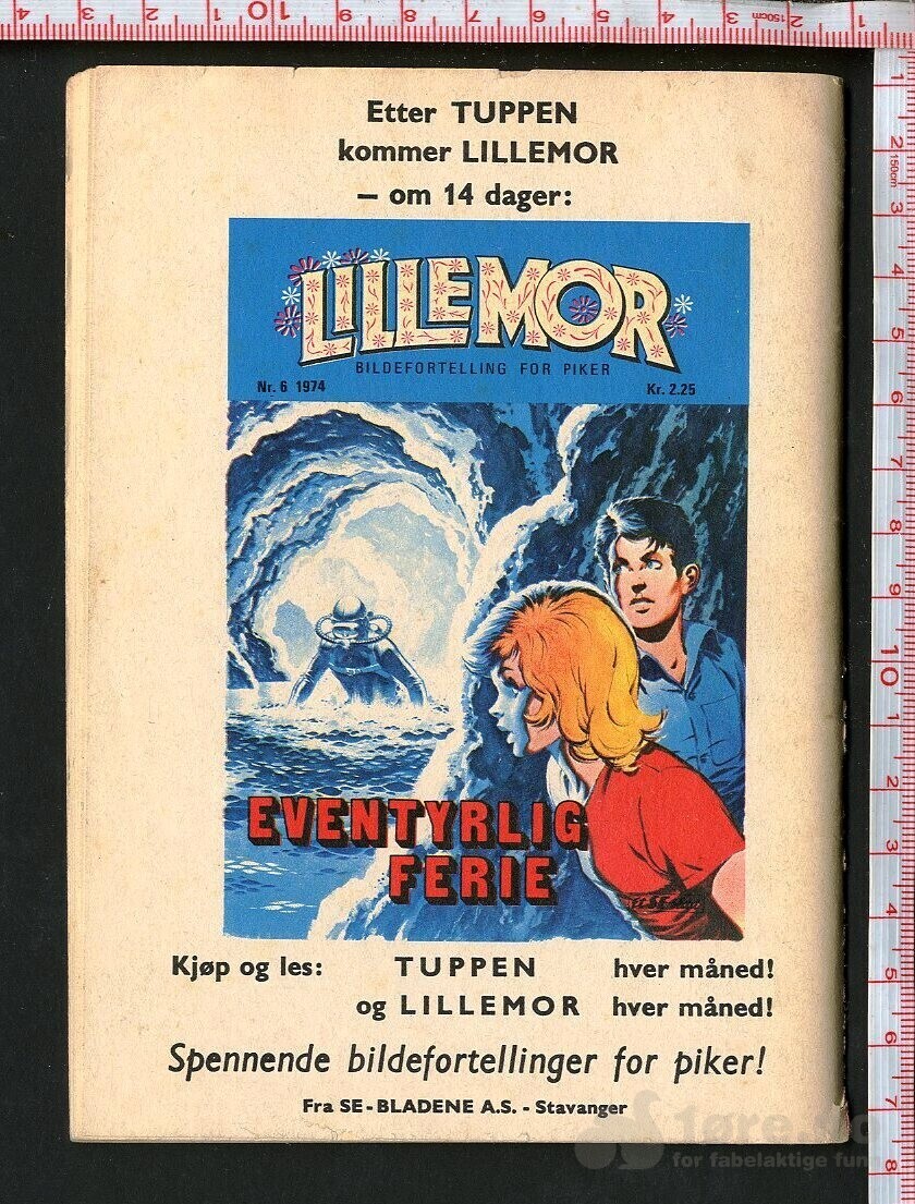 Tuppen nr.6 1974, bilde 2