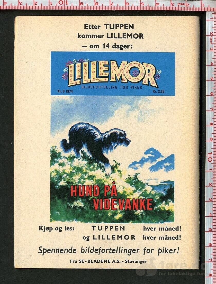 Tuppen nr.8 1974, bilde 2