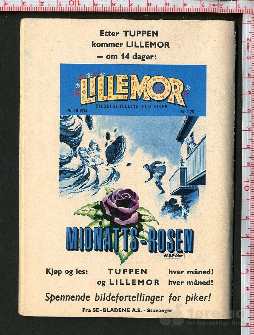 Tuppen nr.10 1974, bilde 2