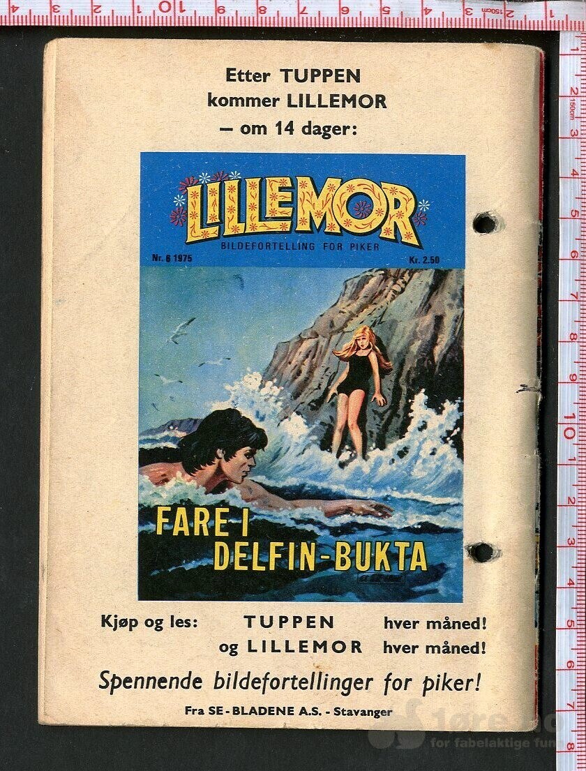 Tuppen nr.6 1975, bilde 2