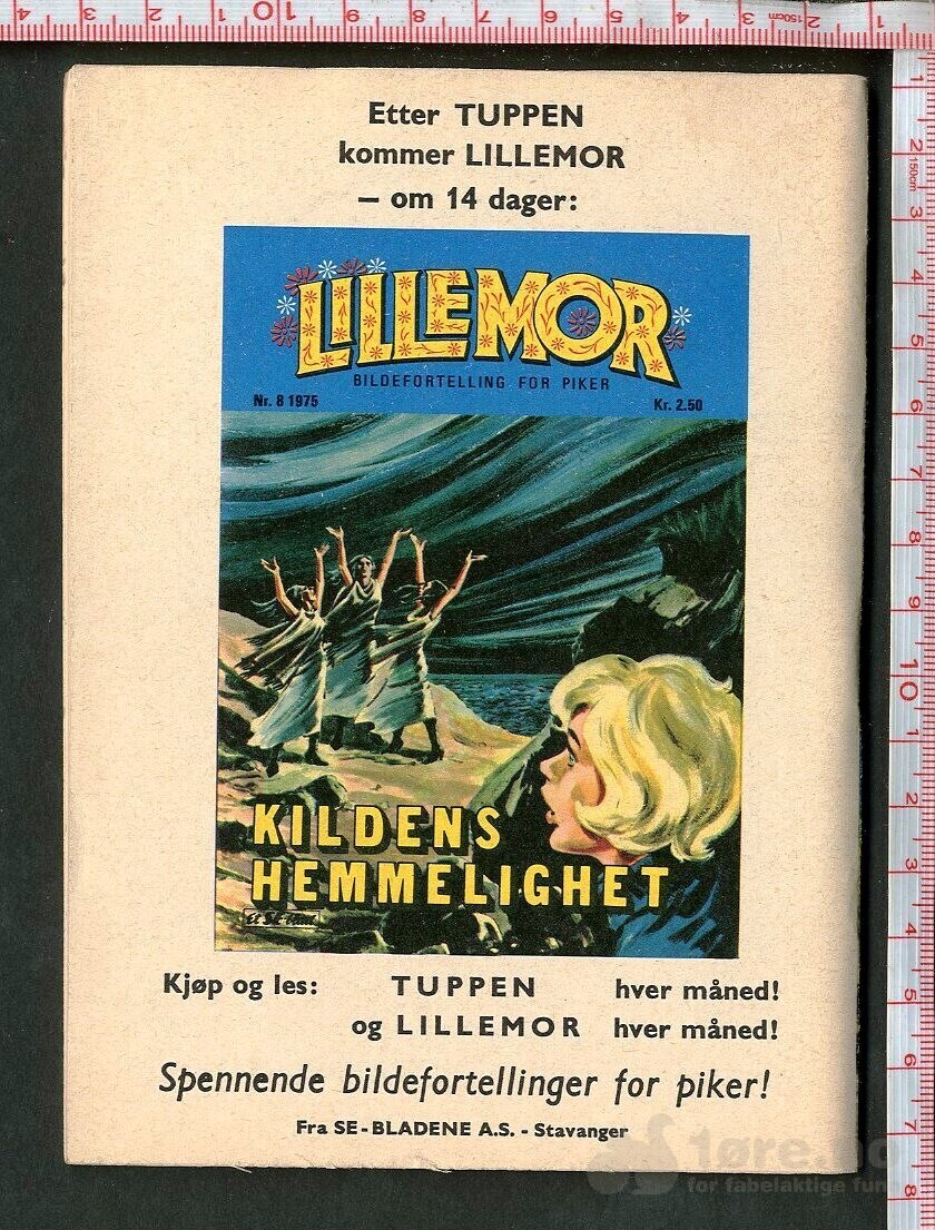 Tuppen nr.8 1975, bilde 2