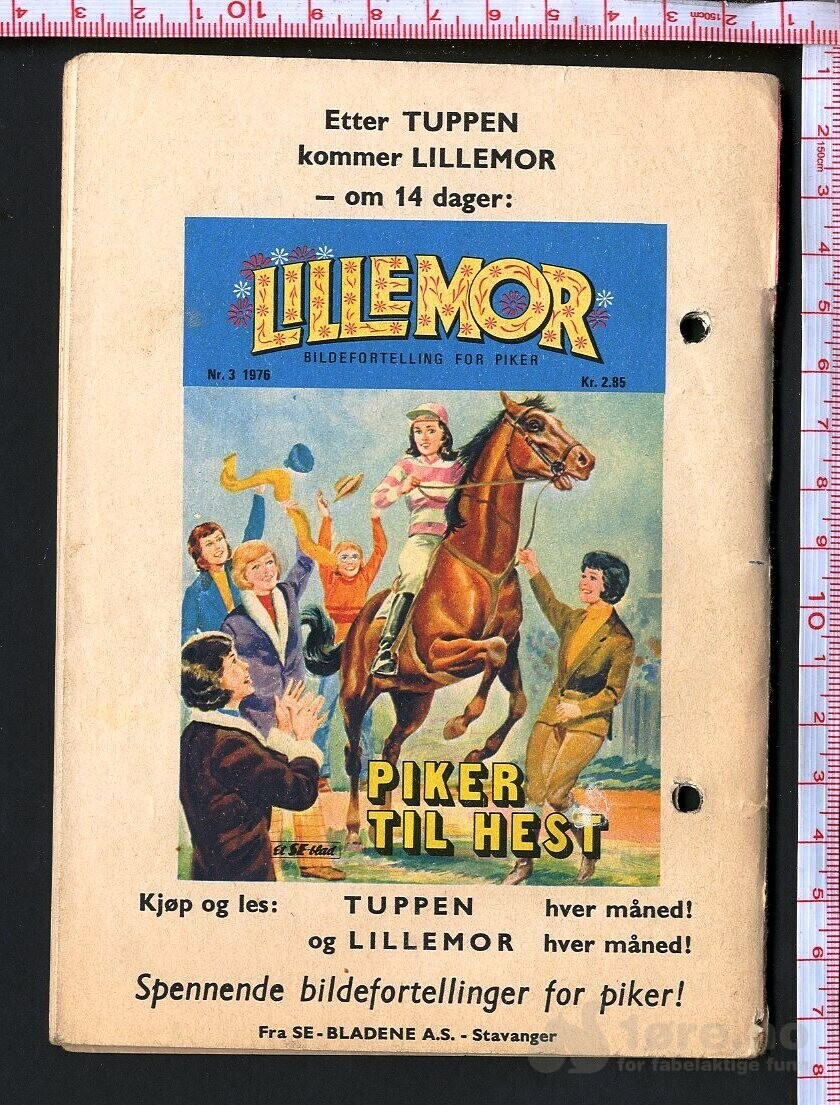 Tuppen nr.3 1976, bilde 2