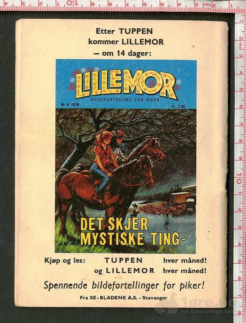 Tuppen nr.6 1976, bilde 2