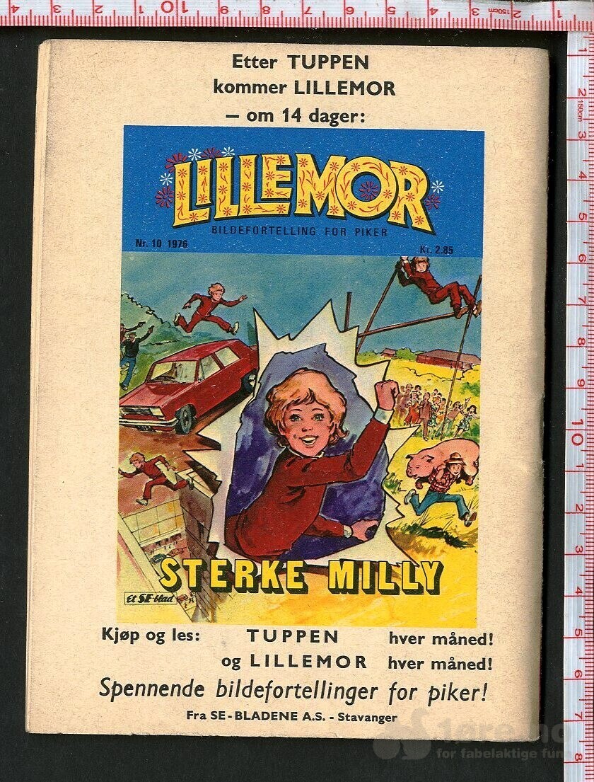 Tuppen nr.10 1976, bilde 2