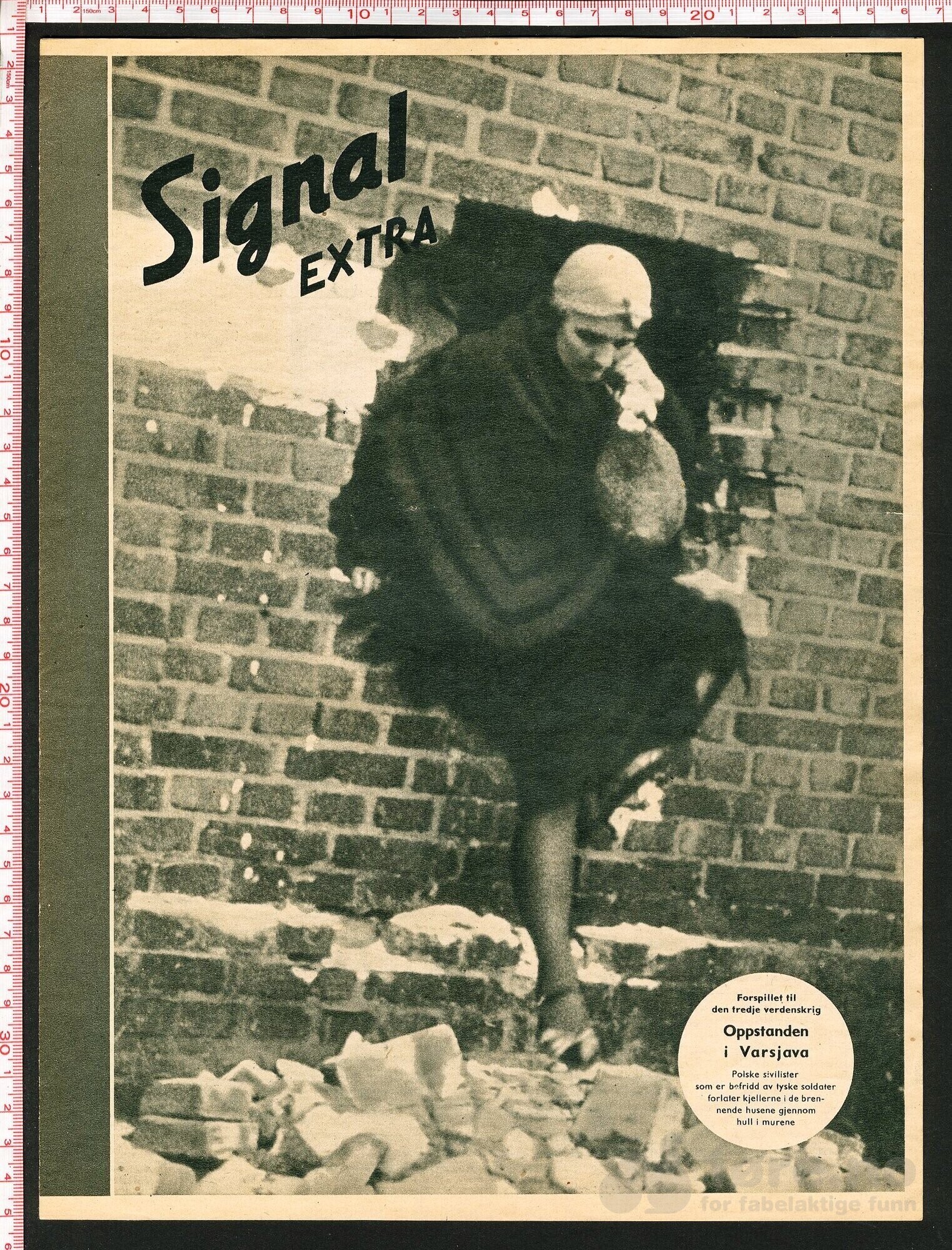 Signal EXTRA Oppstanden i varsjava