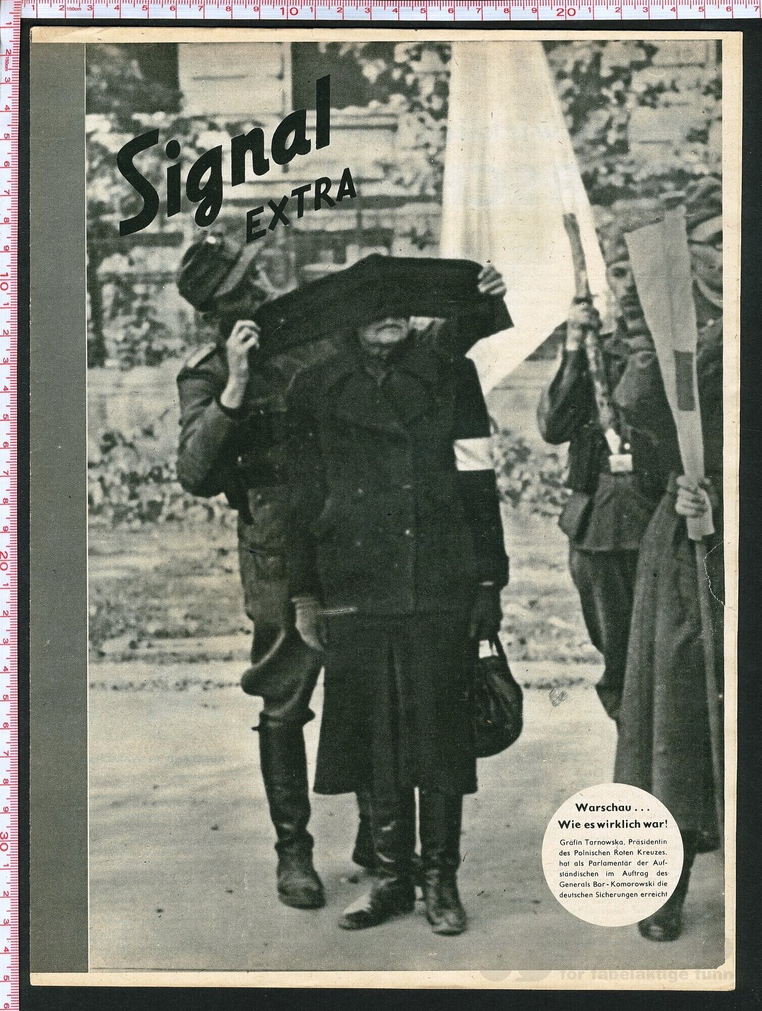Signal EXTRA D4