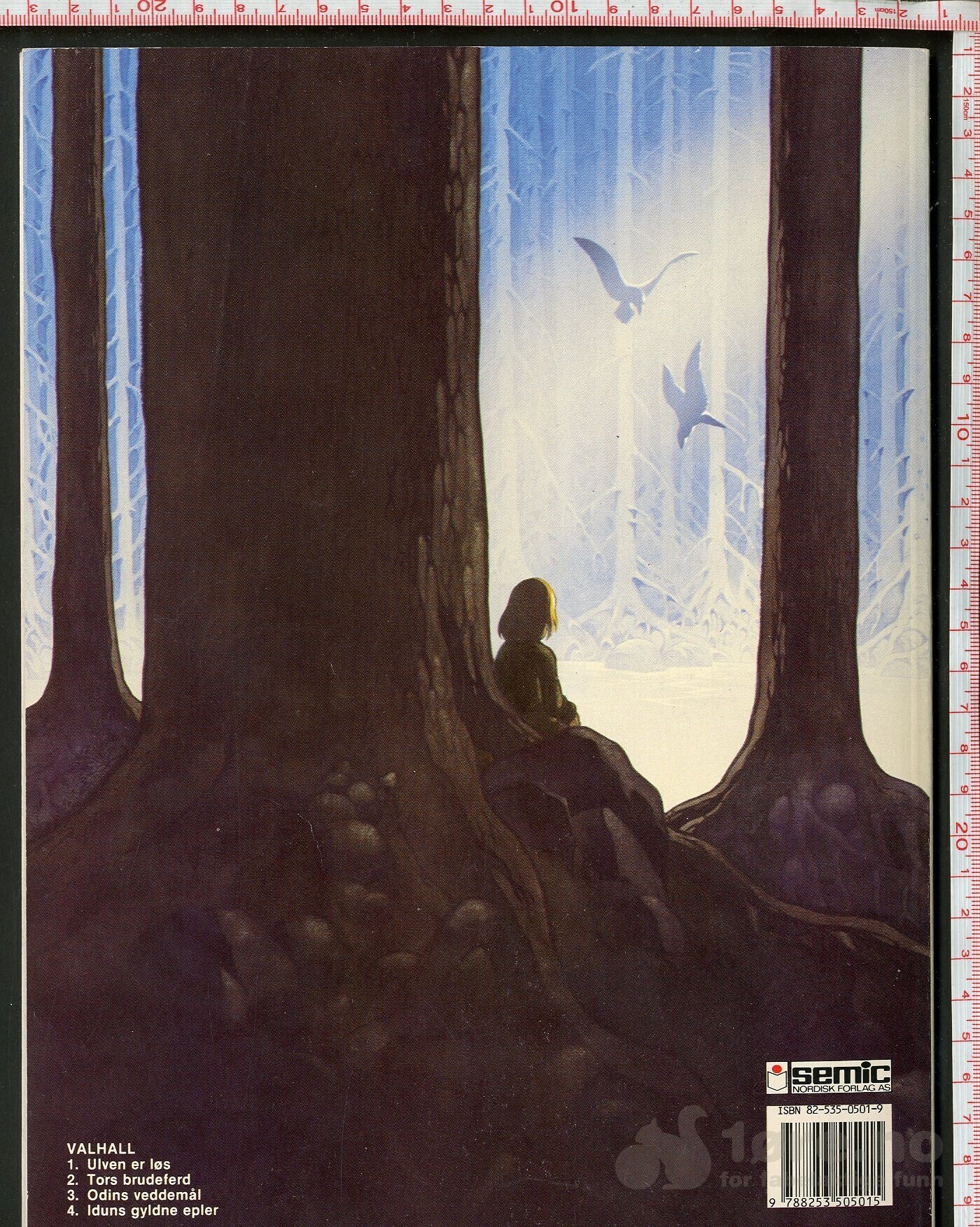 Valhall 3, bilde 2