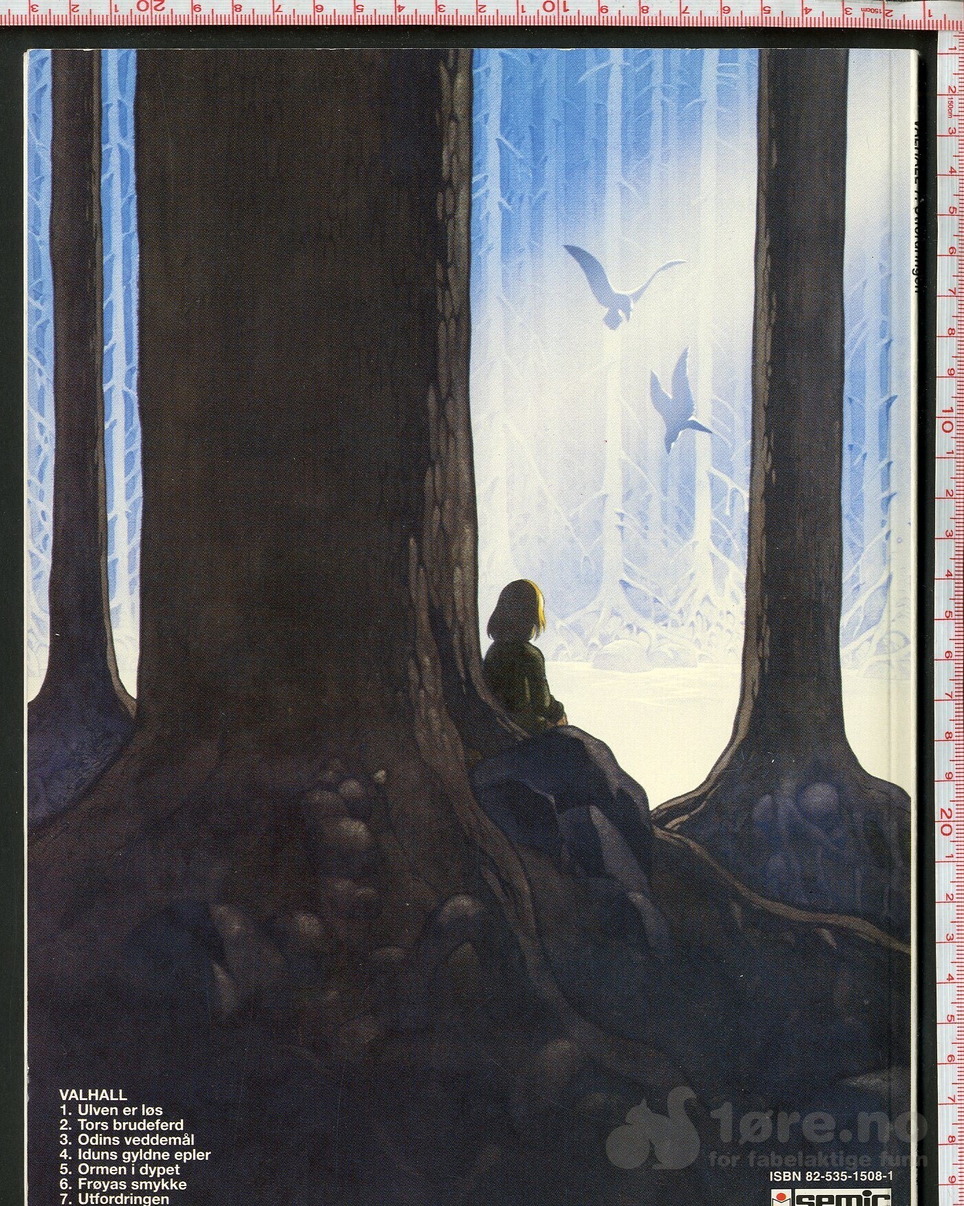 Valhall 7, bilde 2
