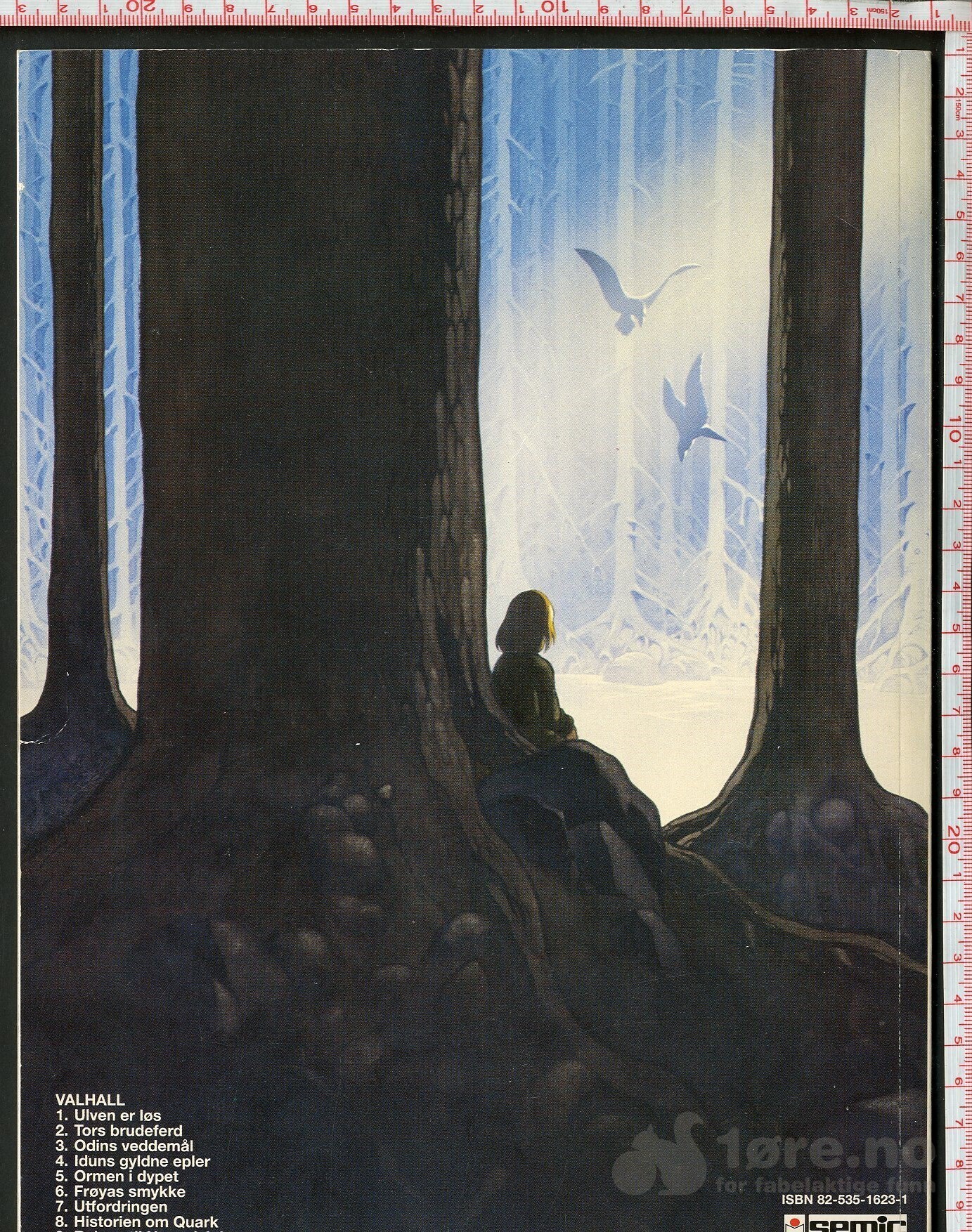 Valhall 9, bilde 2