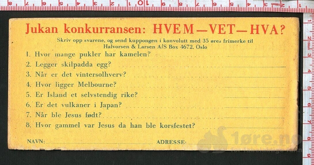 Jukan Jungelens sønn nr 51 1956, bilde 2