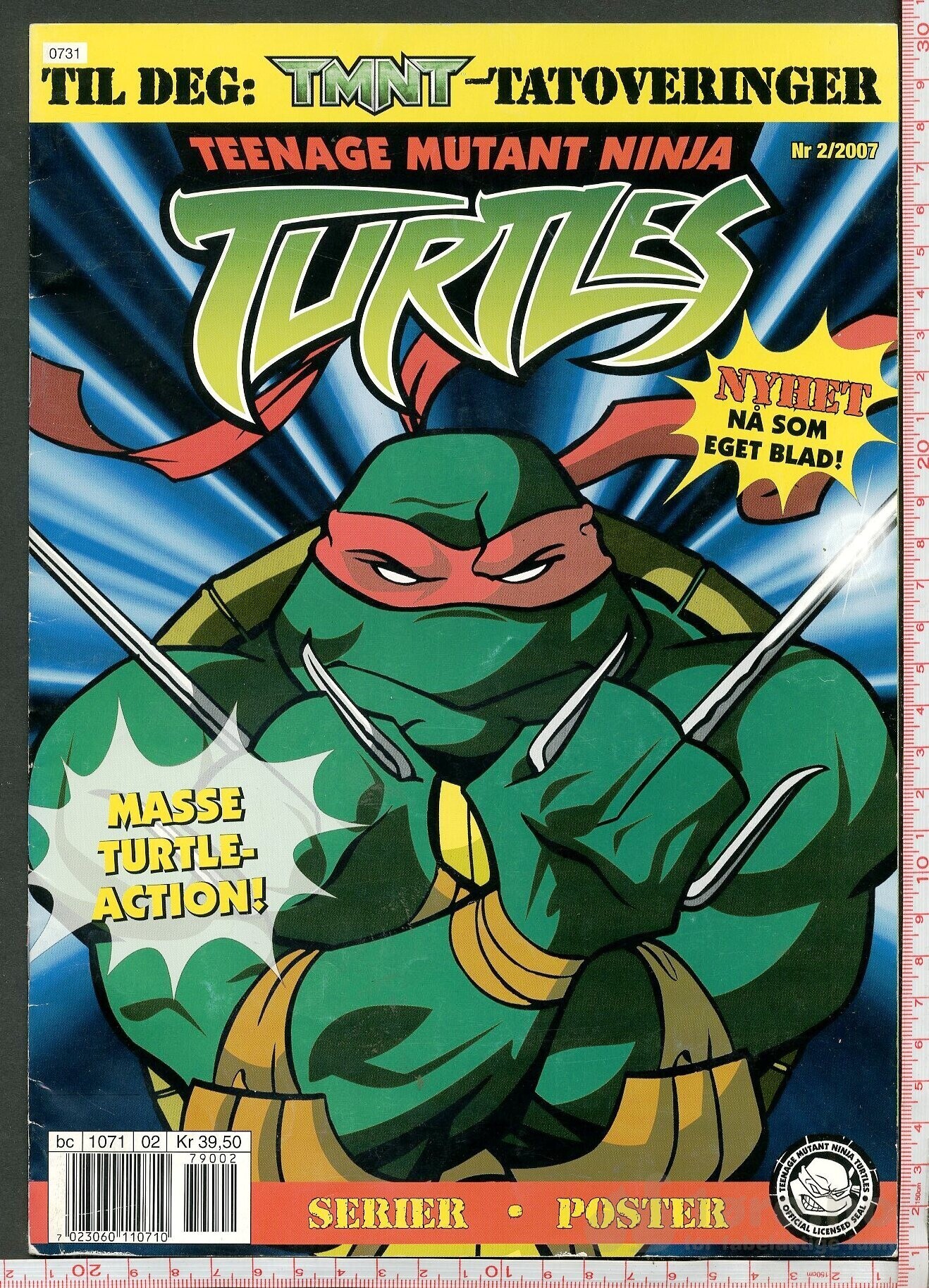 TURTLES  2007-2014