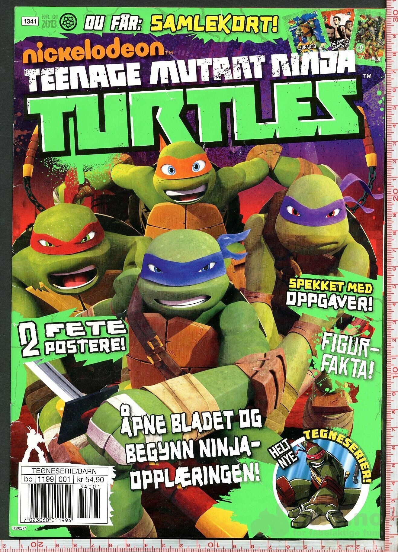 TURTLES  2007-2014, bilde 4