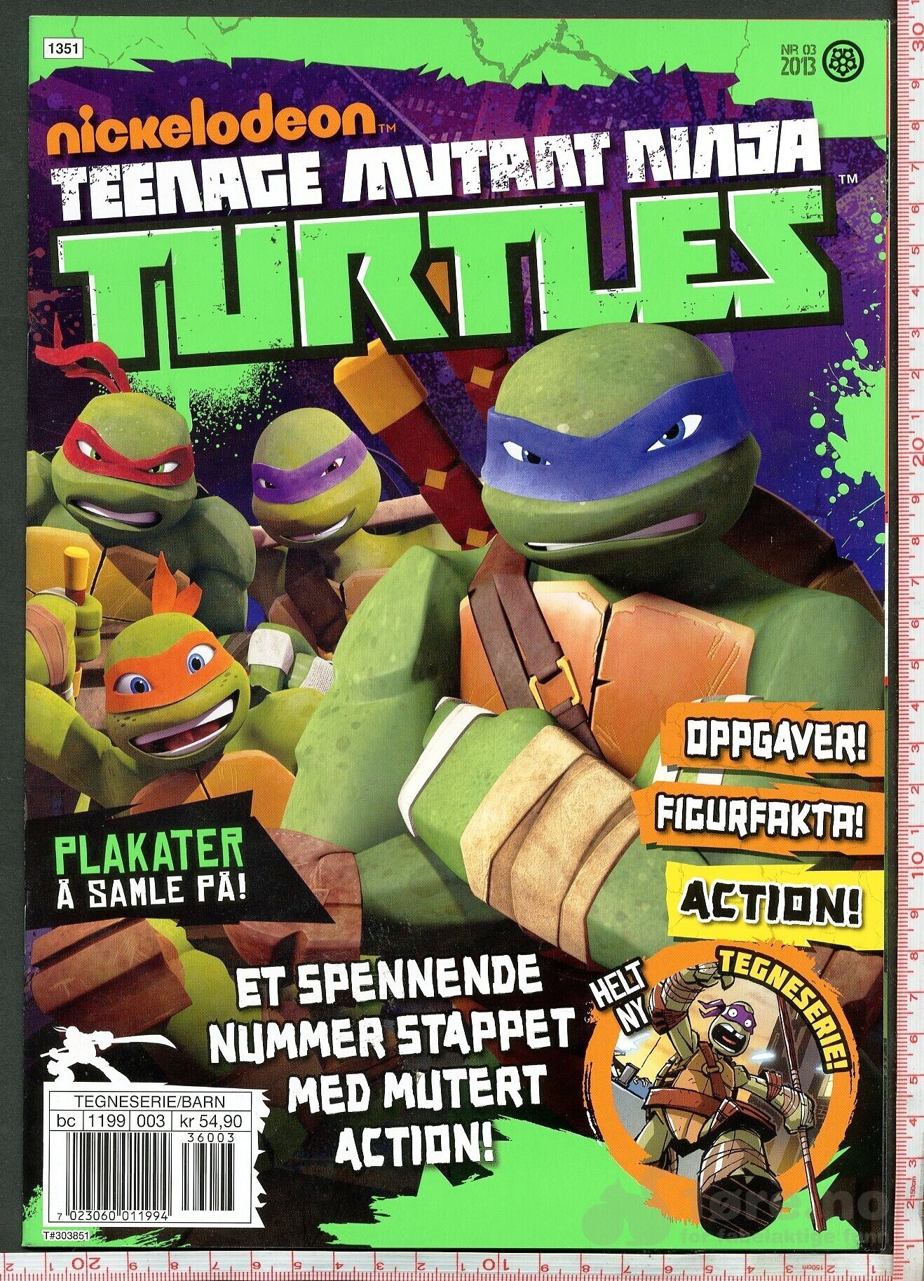 TURTLES  2007-2014, bilde 6