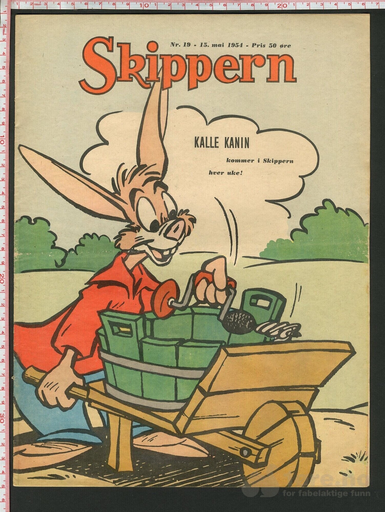 Skippern nr. 19, 1954
