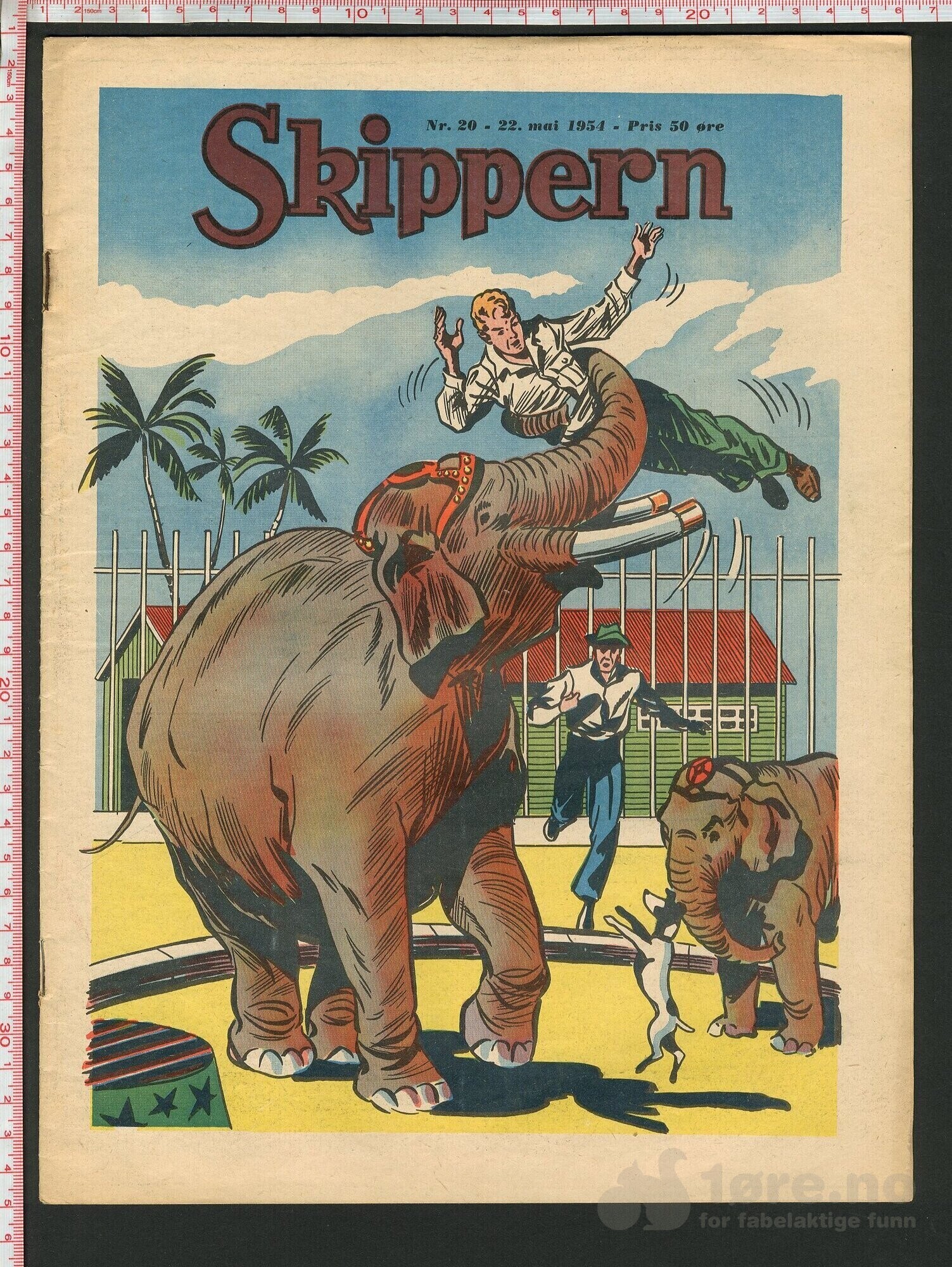 Skippern nr. 20, 1954