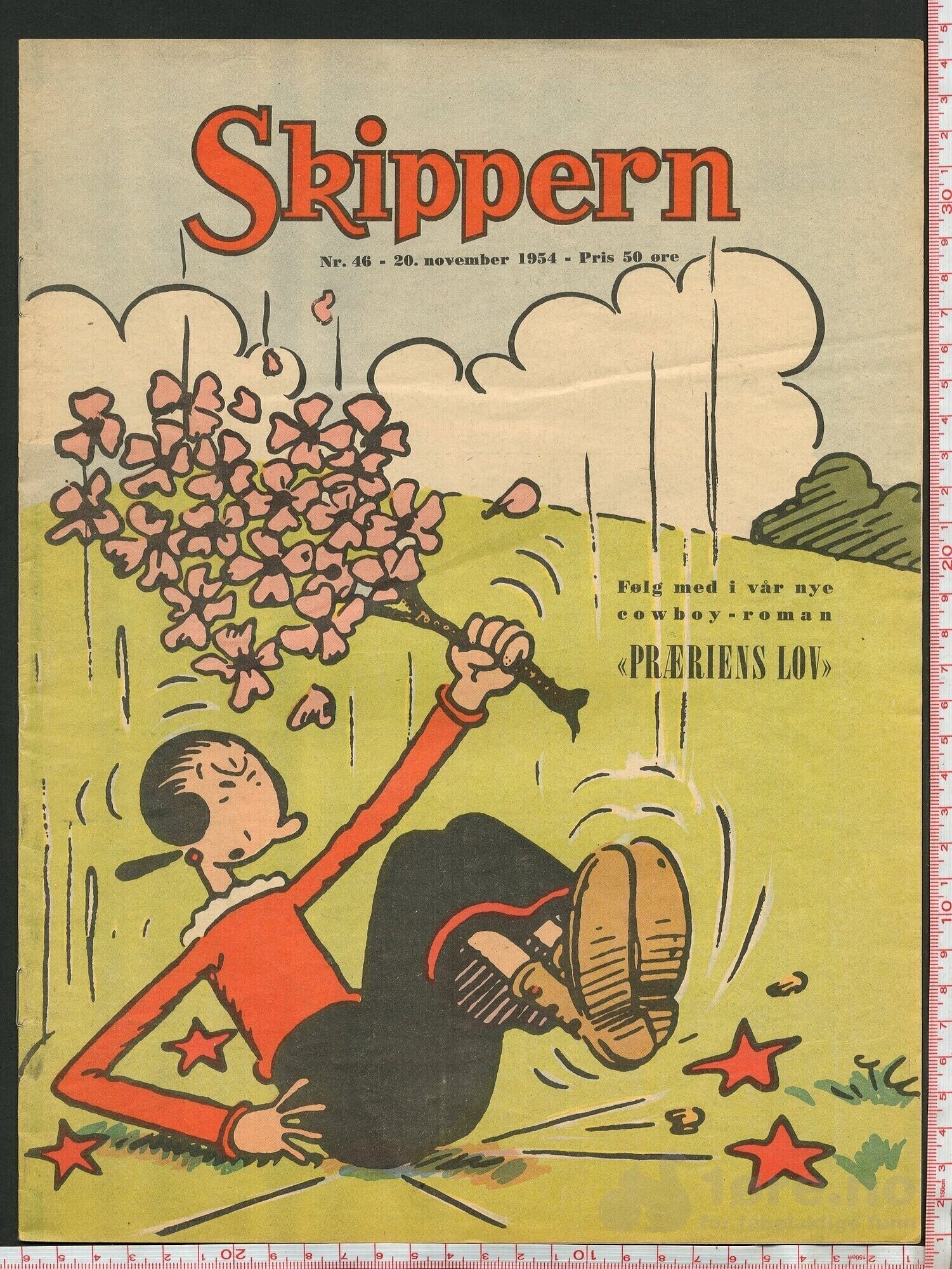 Skippern nr. 46, 1954