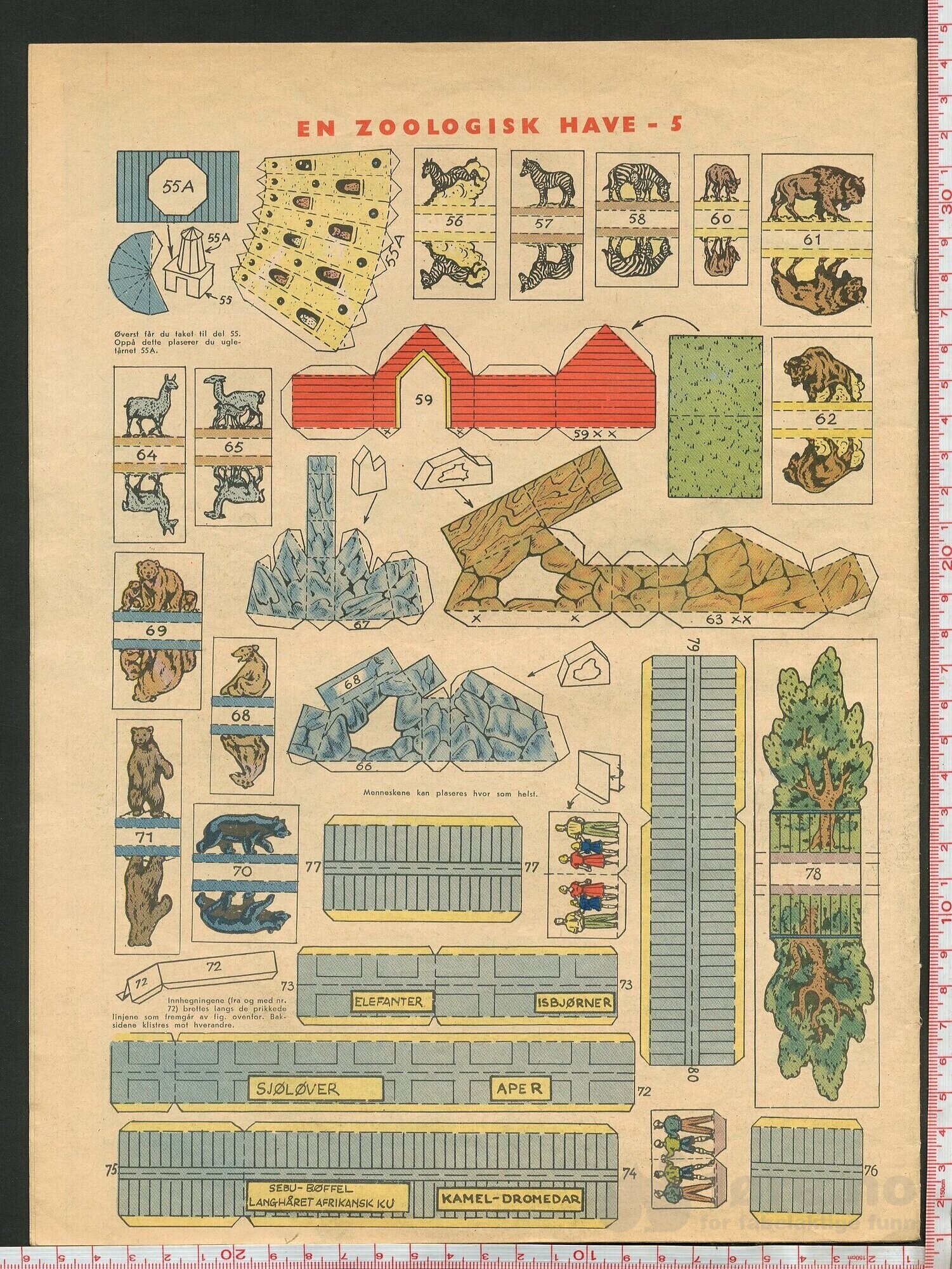Skippern nr. 4, 1955, bilde 2