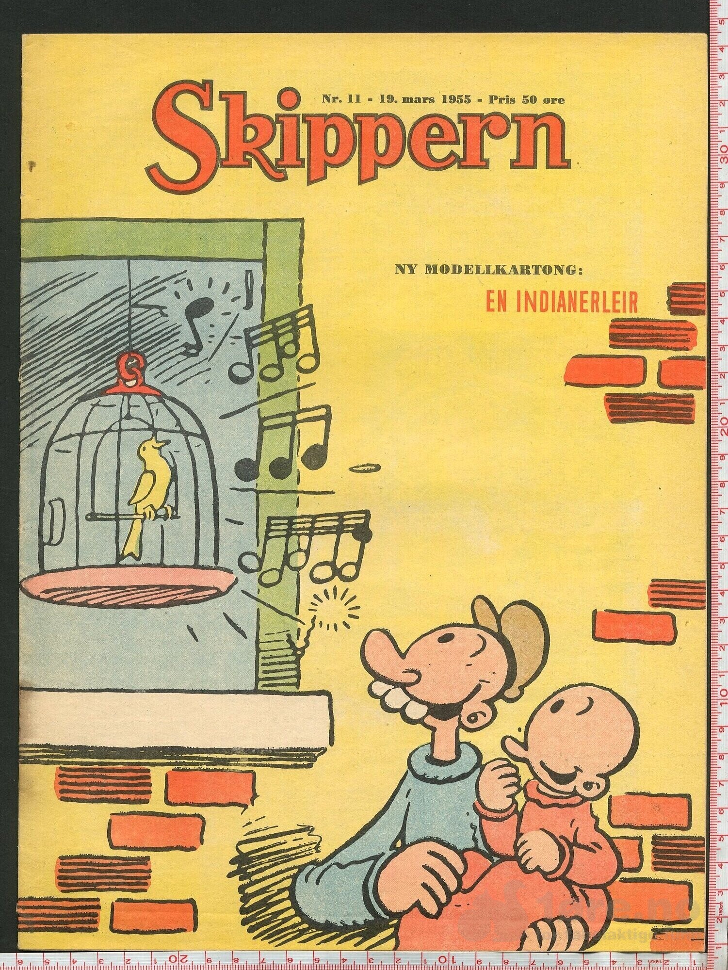 Skippern nr. 11, 1955
