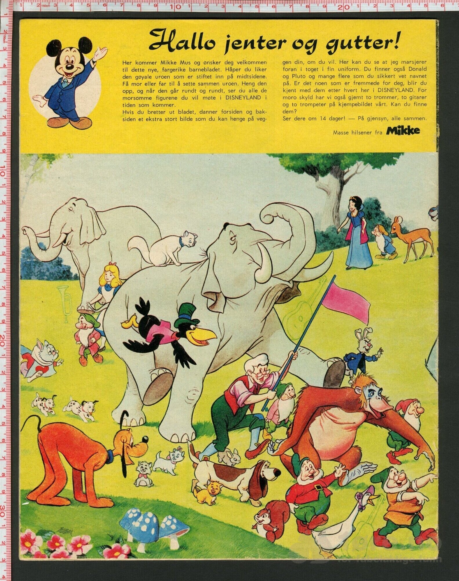Disneyland nr. 1, 1973, bilde 2