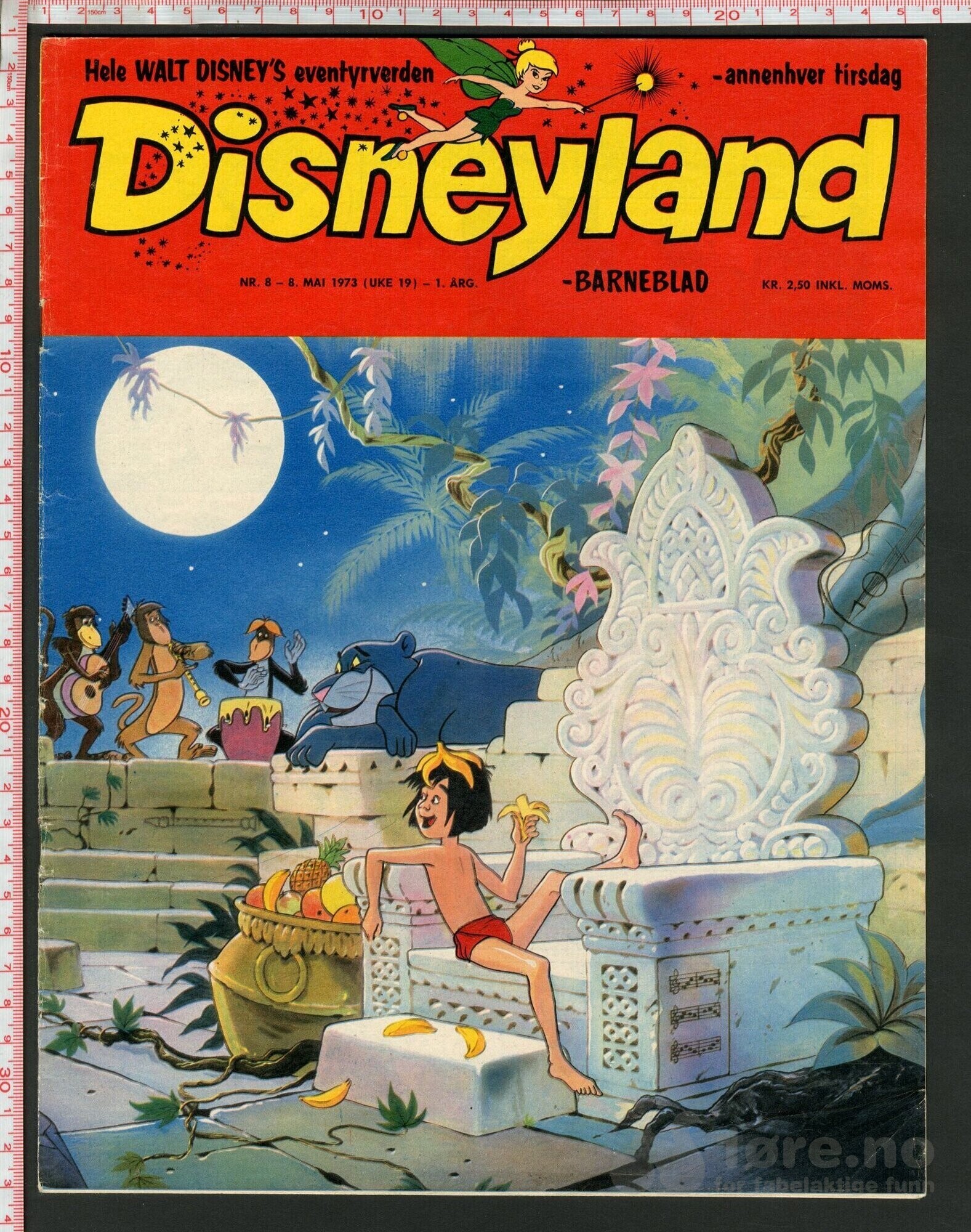 Disneyland nr. 8, 1973