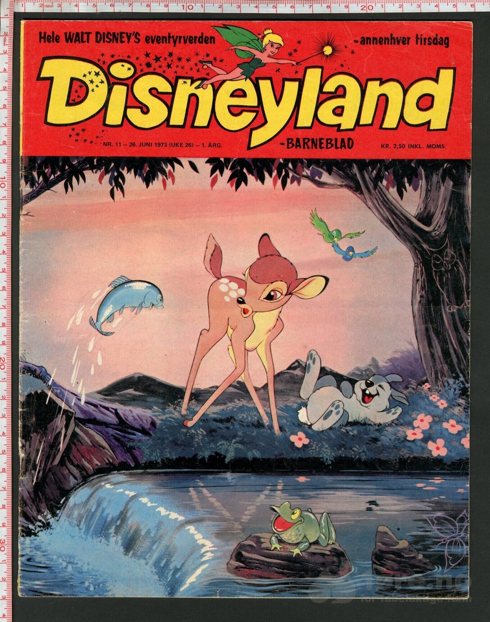 Disneyland nr. 11, 1973