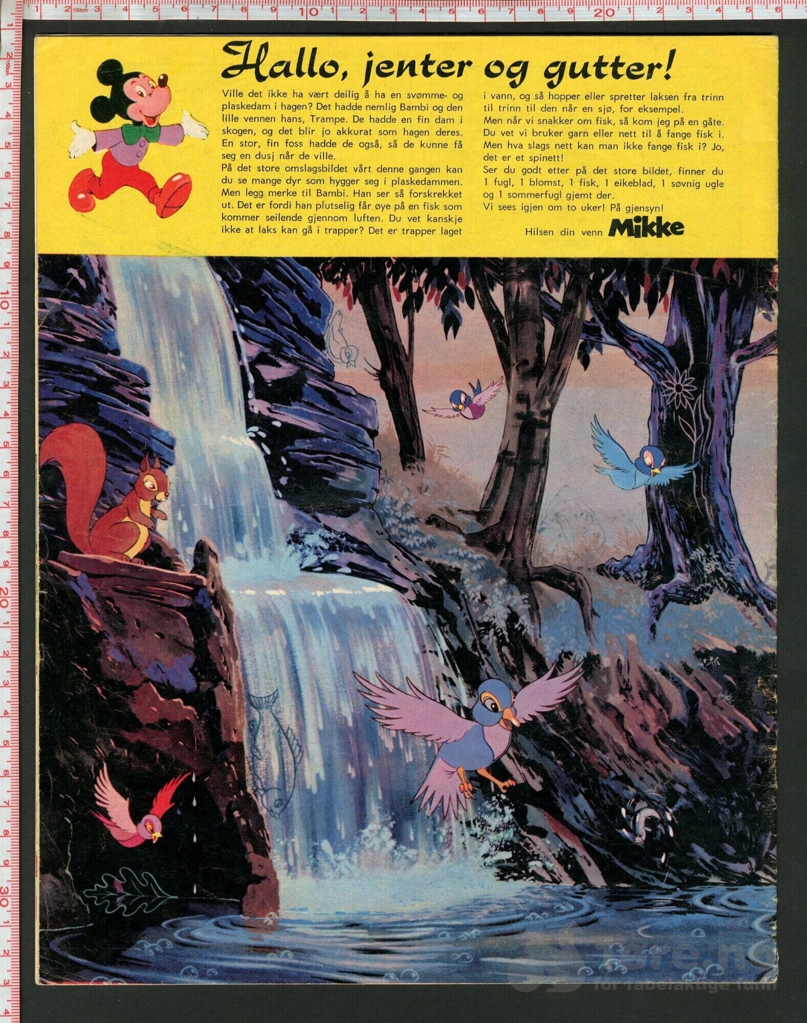 Disneyland nr. 11, 1973, bilde 2