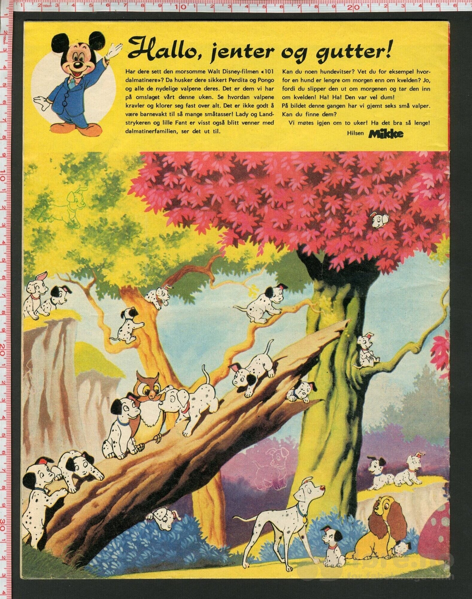 Disneyland nr. 13, 1973, bilde 2