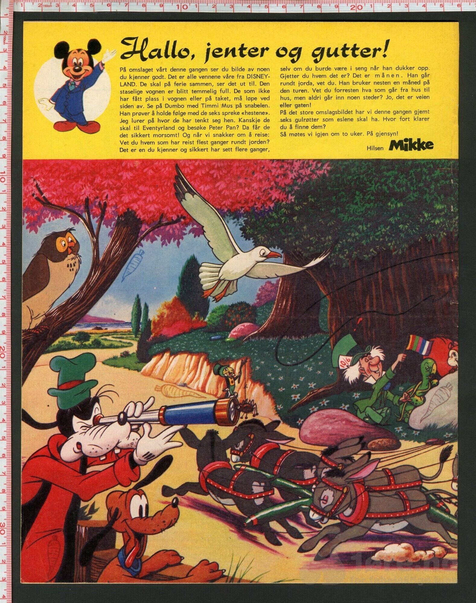 Disneyland nr. 14, 1973, bilde 2