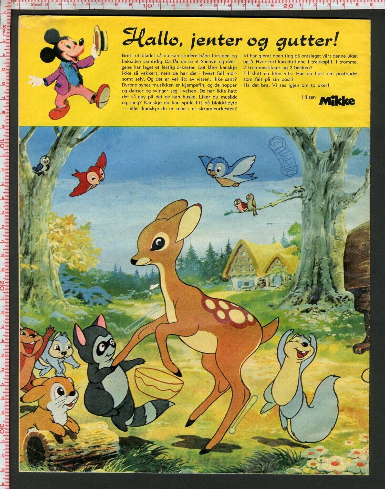 Disneyland nr. 16, 1973, bilde 2