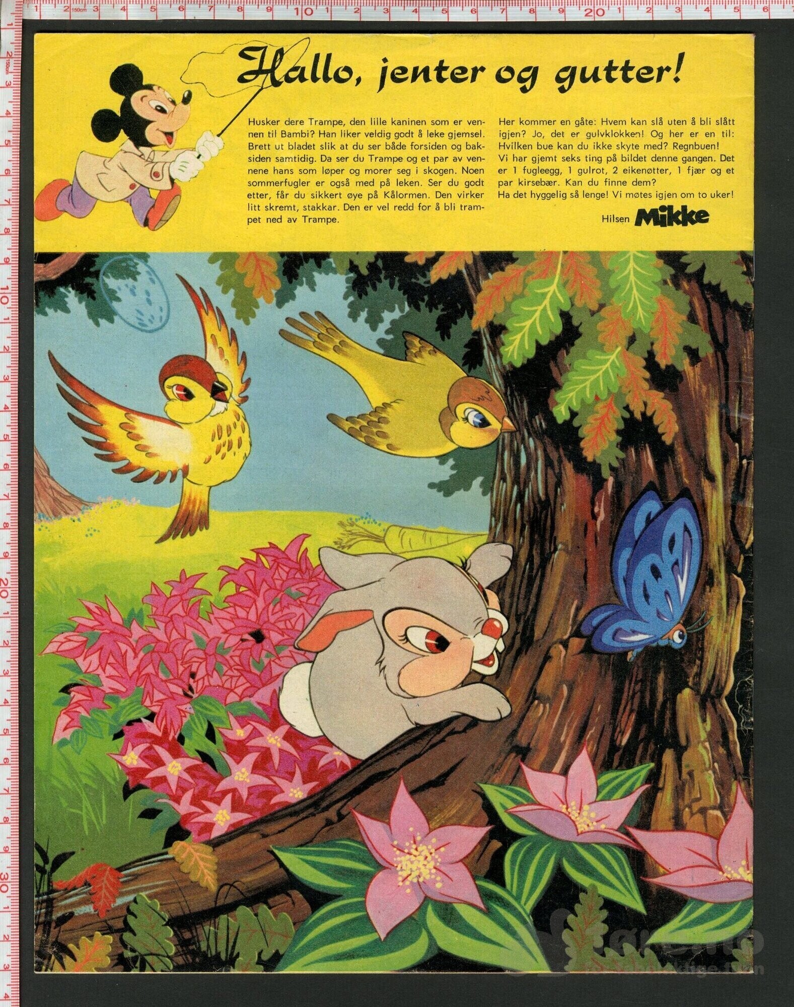 Disneyland nr. 18, 1973, bilde 2