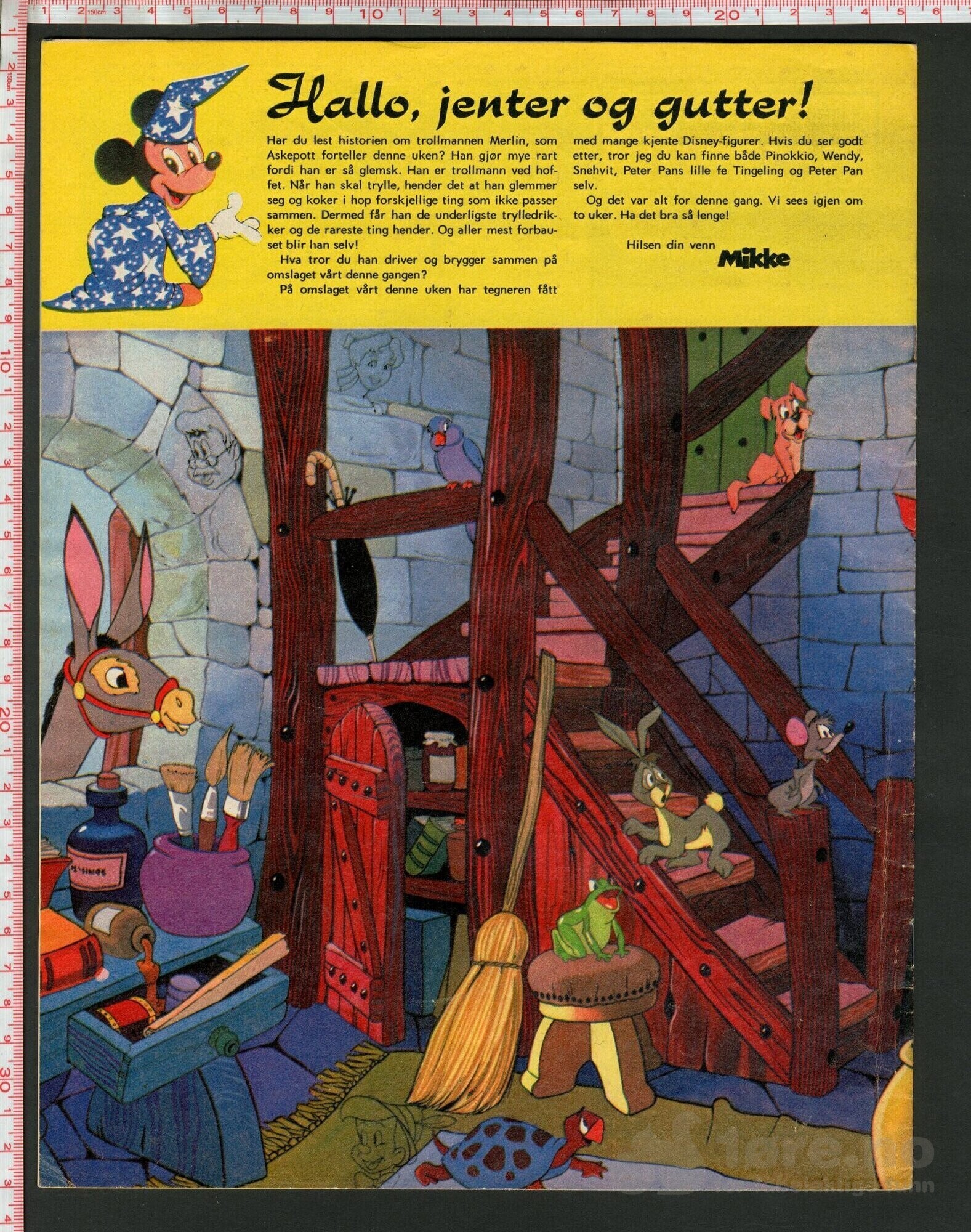 Disneyland nr. 19, 1973, bilde 2