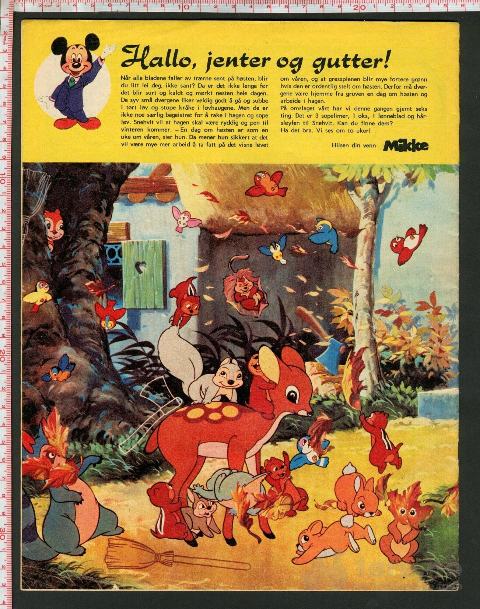 Disneyland nr. 22, 1973, bilde 2