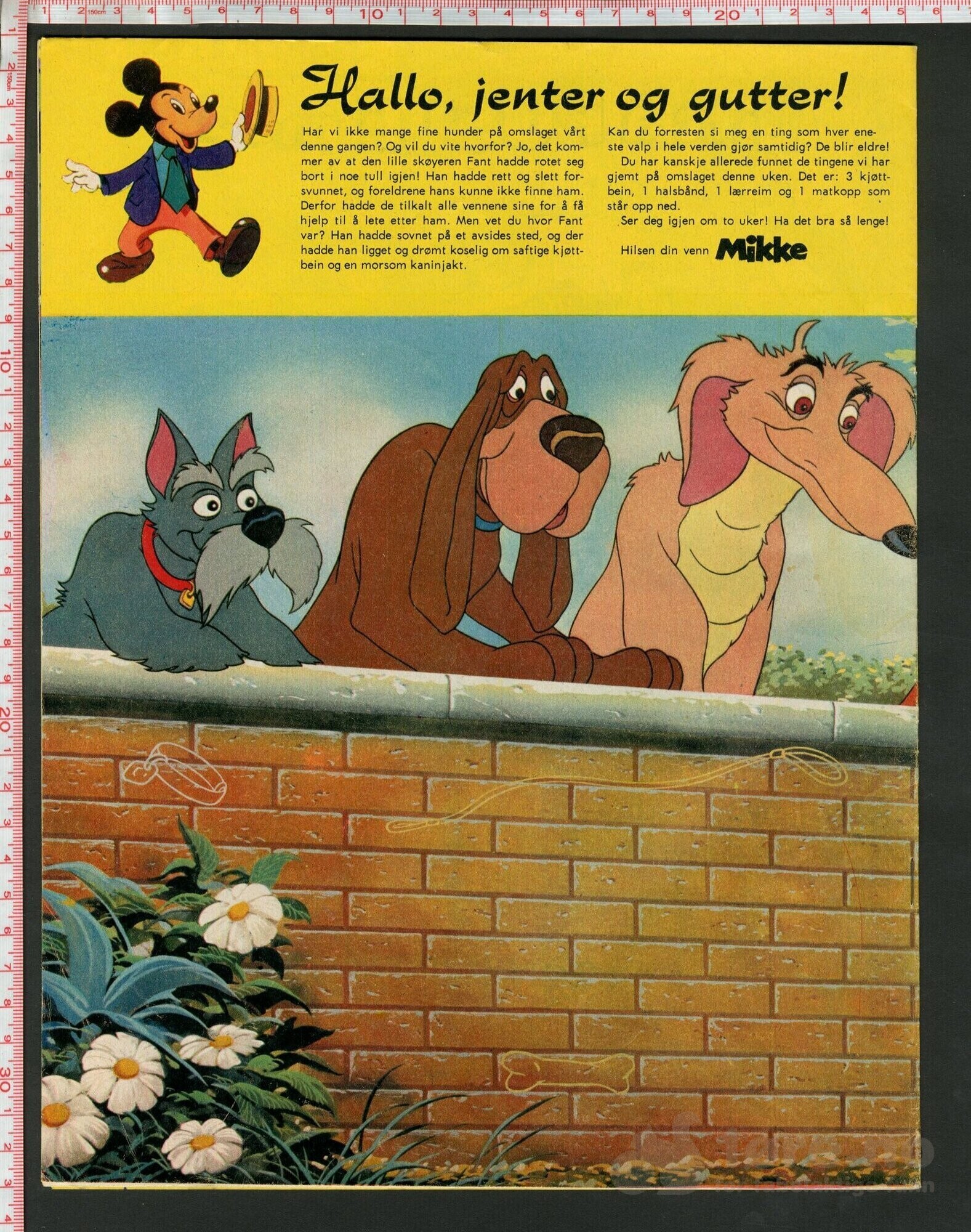 Disneyland nr. 2, 1974, bilde 2