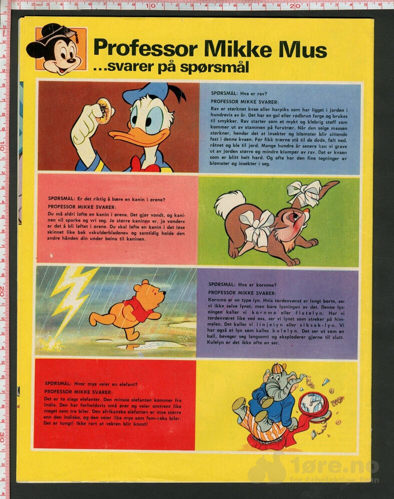Disneyland nr. 3, 1974, bilde 2