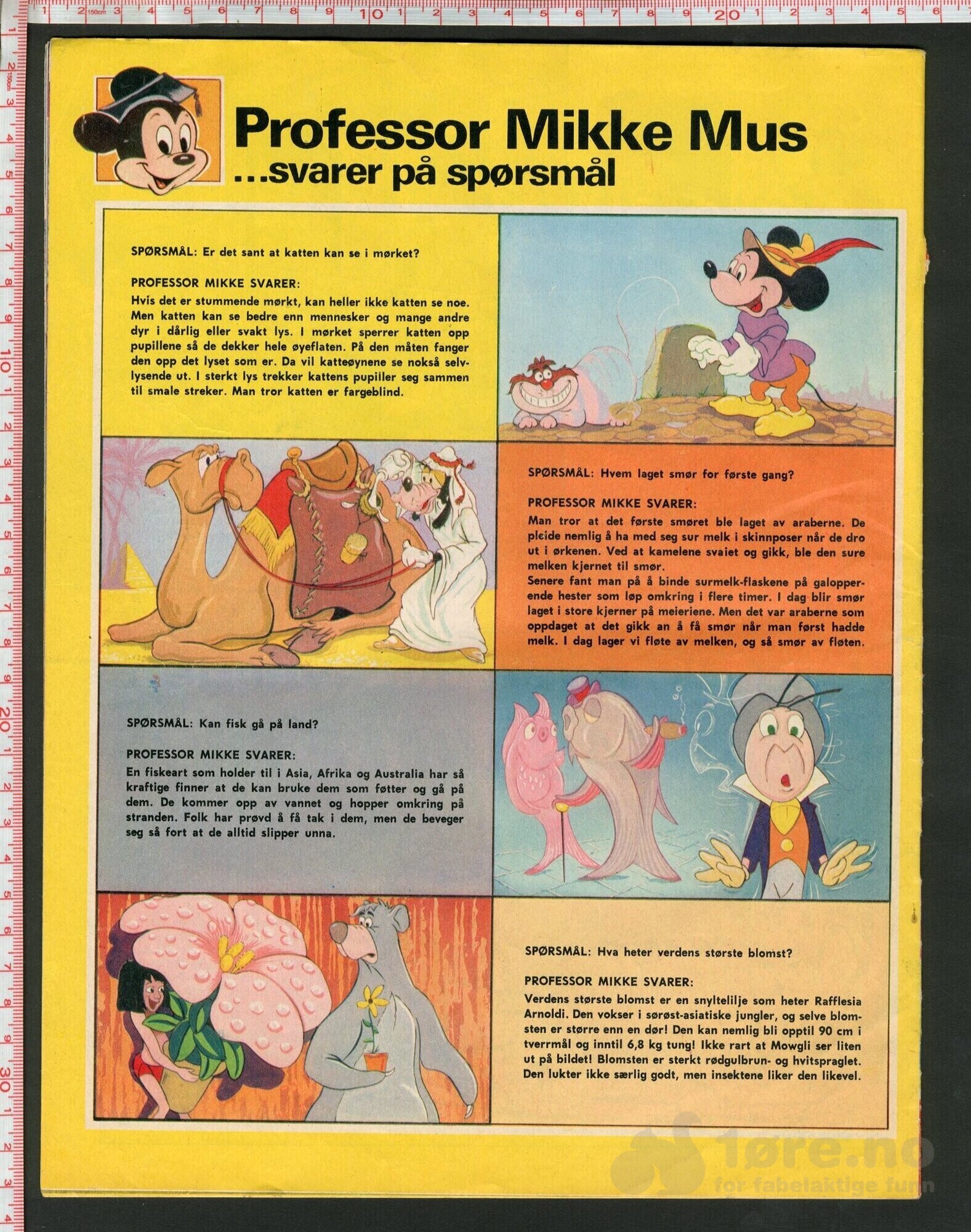 Disneyland nr. 7, 1974, bilde 2