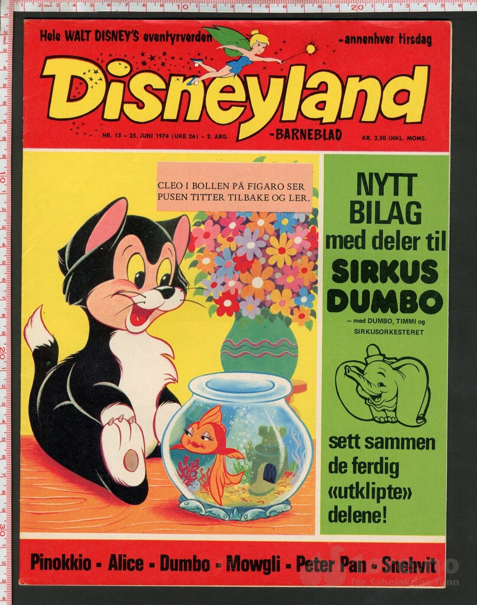 Disneyland nr. 13, 1974