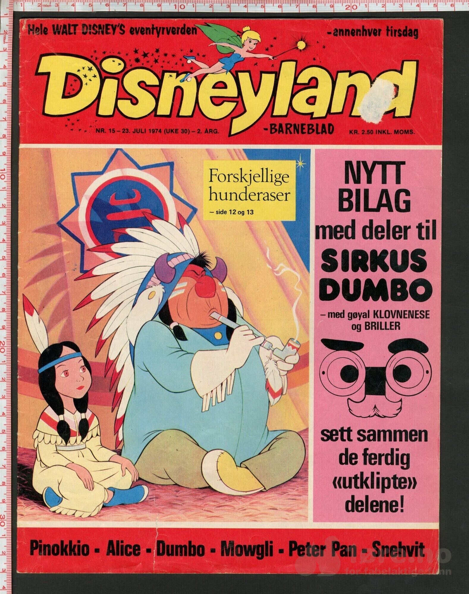 Disneyland nr. 15, 1974
