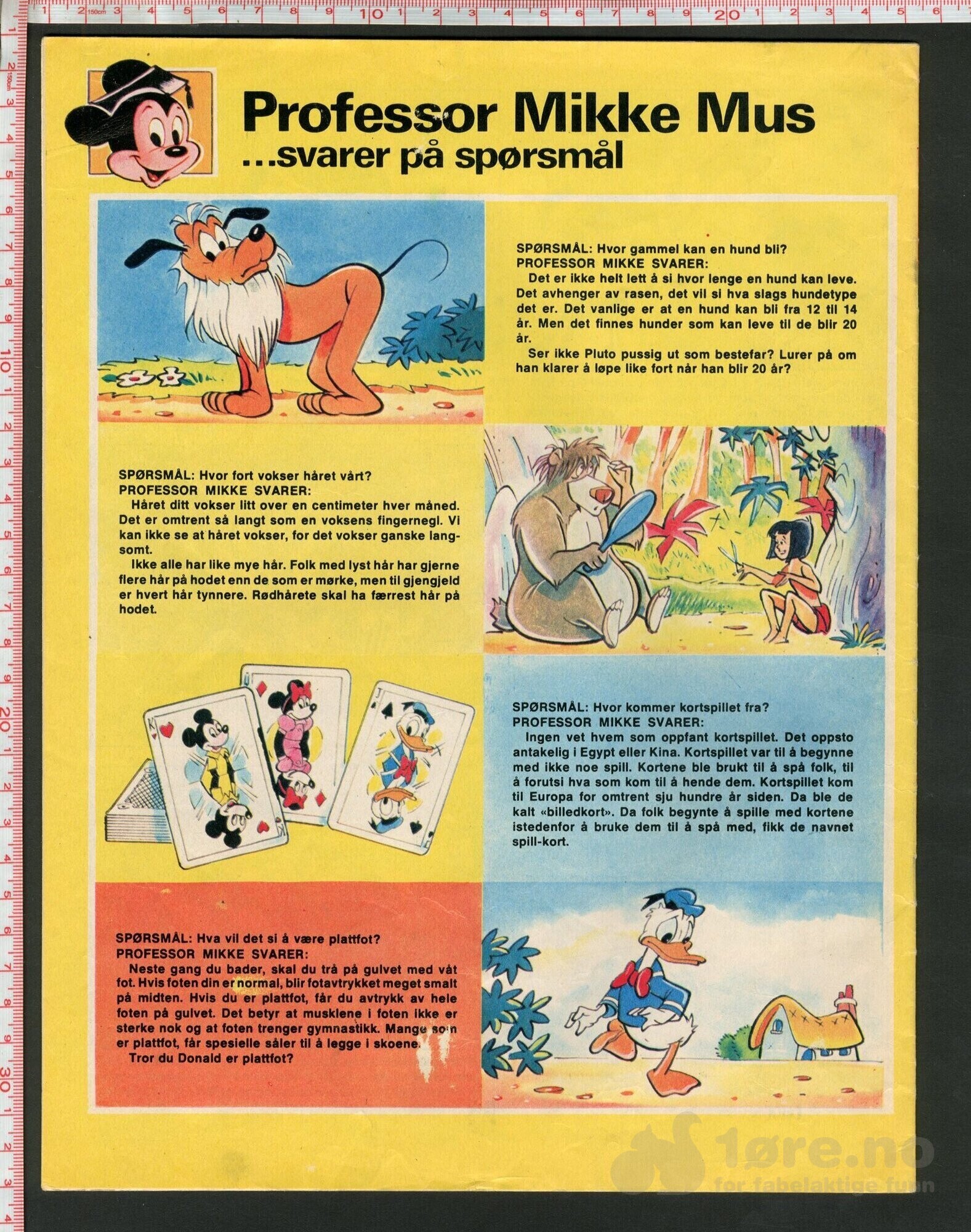 Disneyland nr. 15, 1974, bilde 2