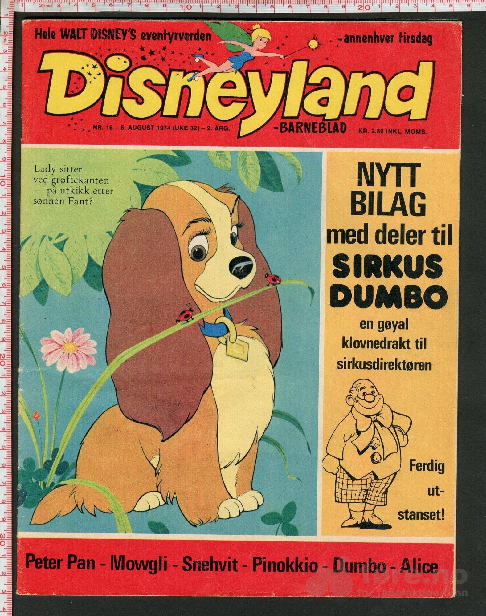 Disneyland nr. 16, 1974