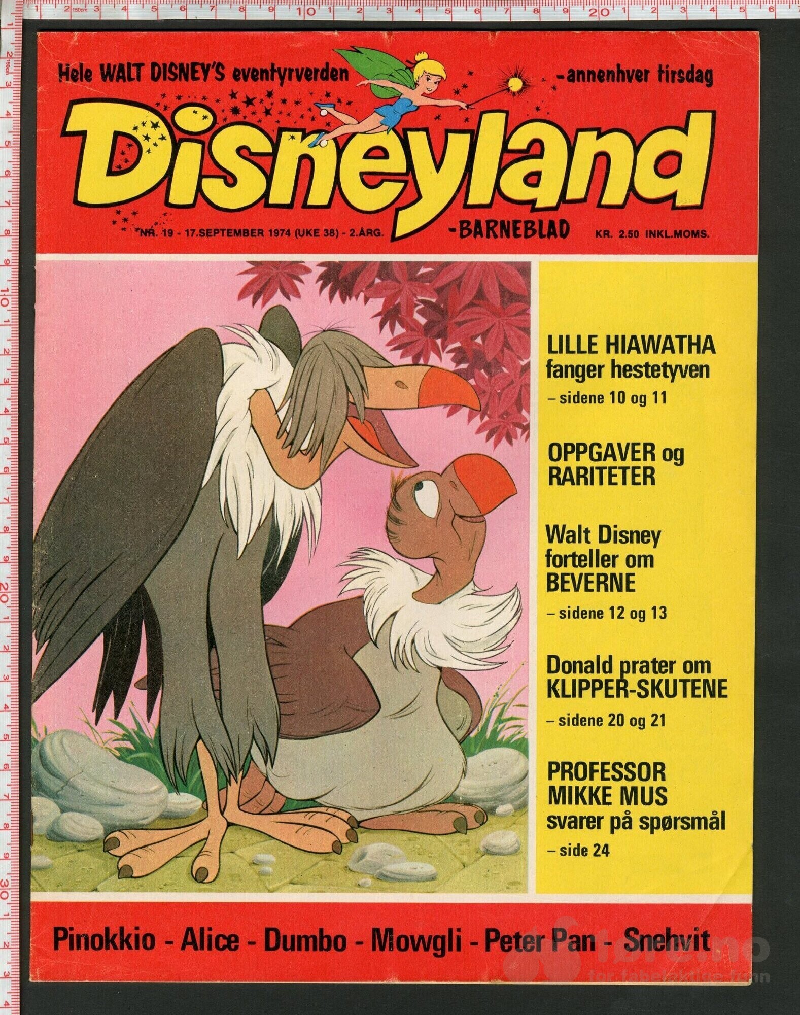 Disneyland nr. 19, 1974