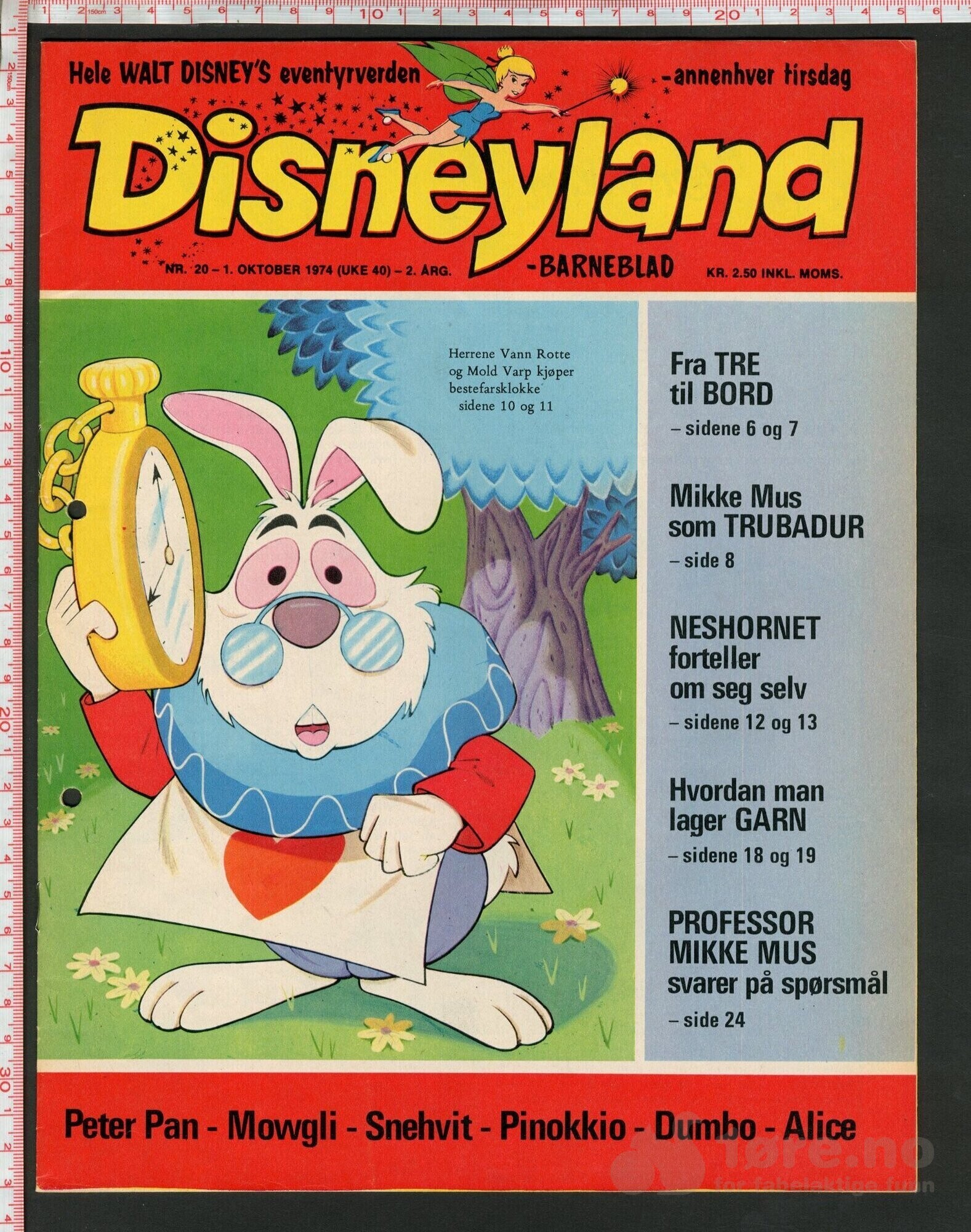 Disneyland nr. 20, 1974