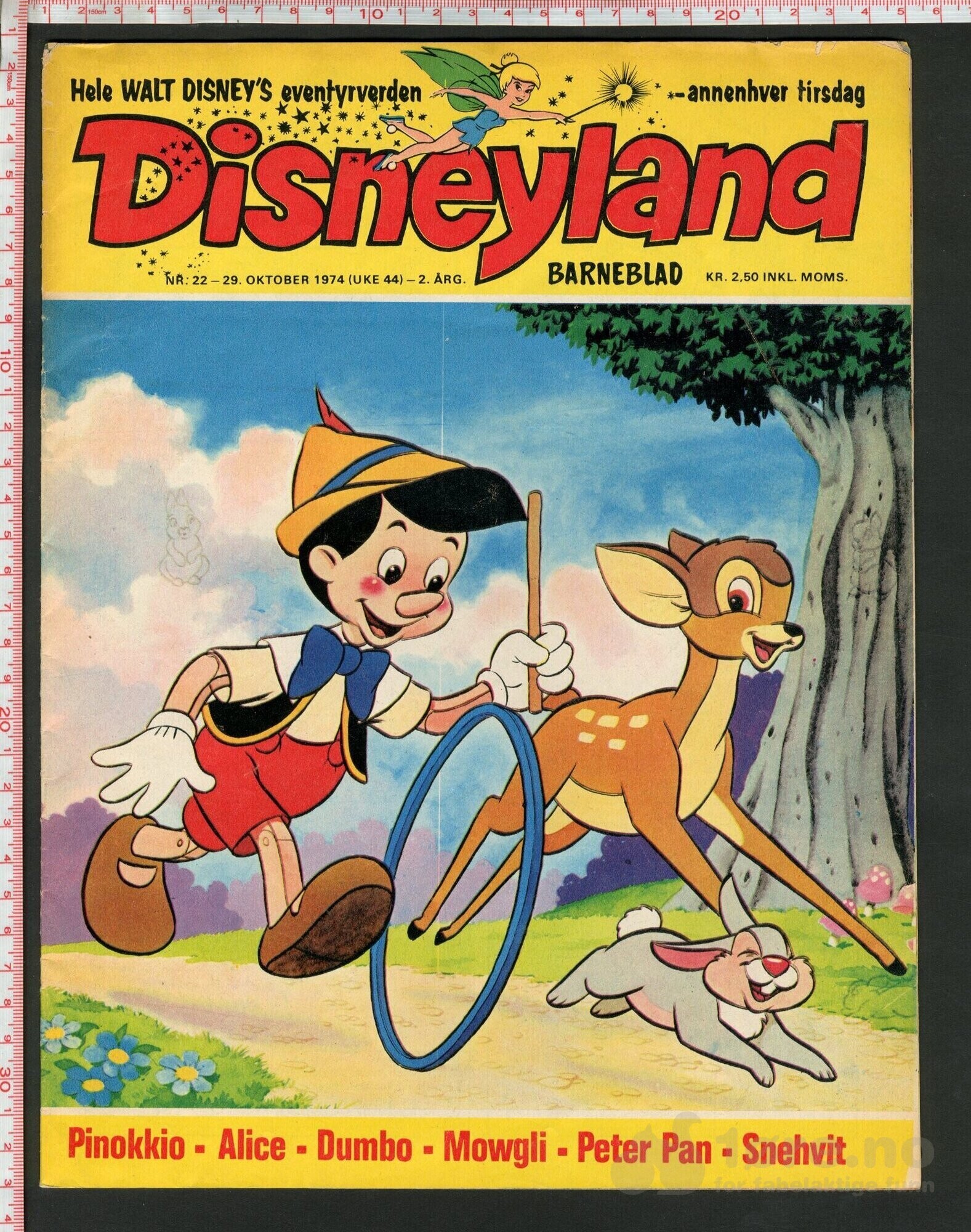 Disneyland nr. 22, 1974