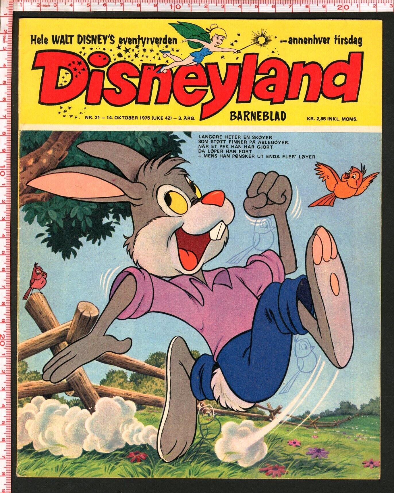 Disneyland nr. 21, 1975