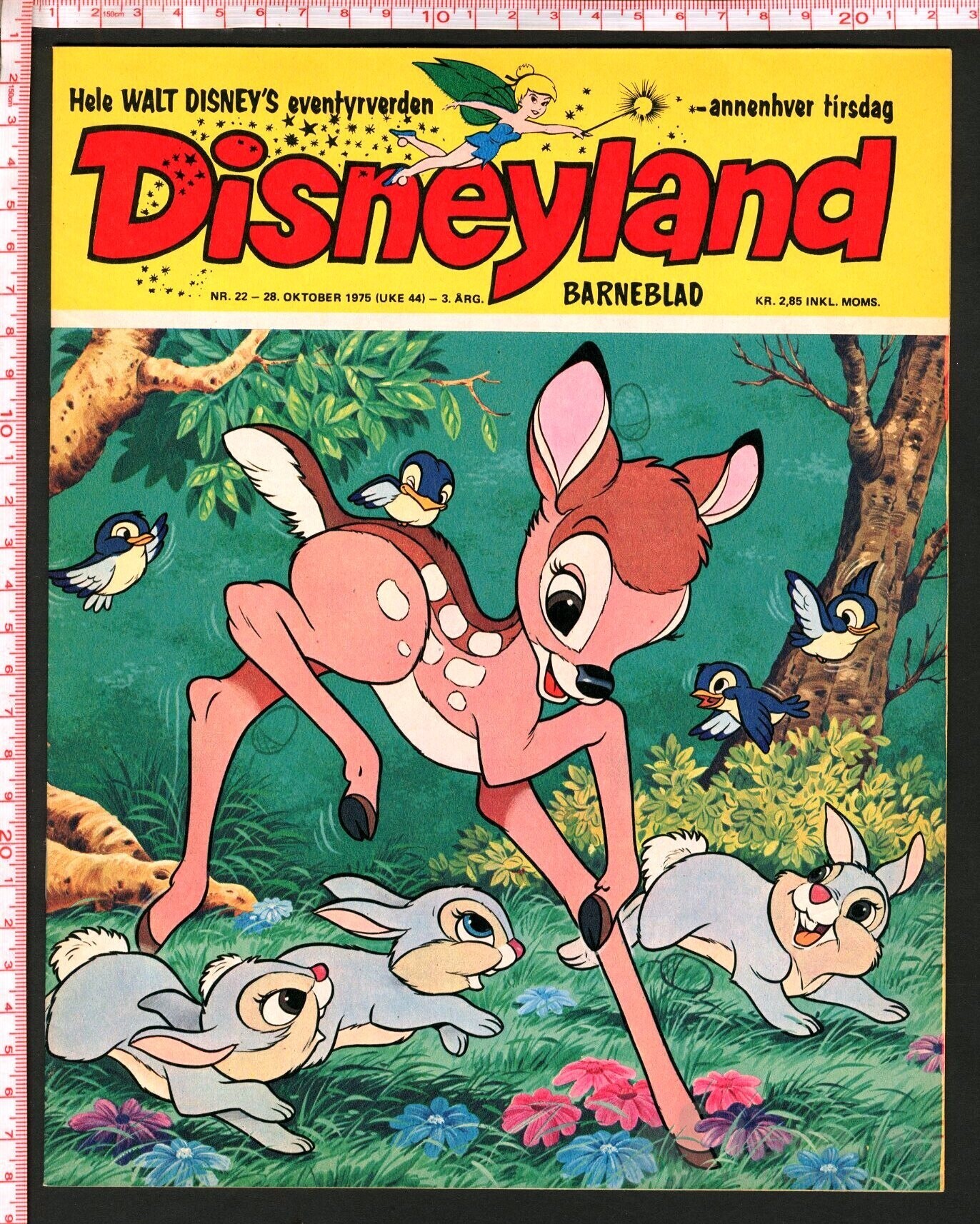 Disneyland nr. 22, 1975