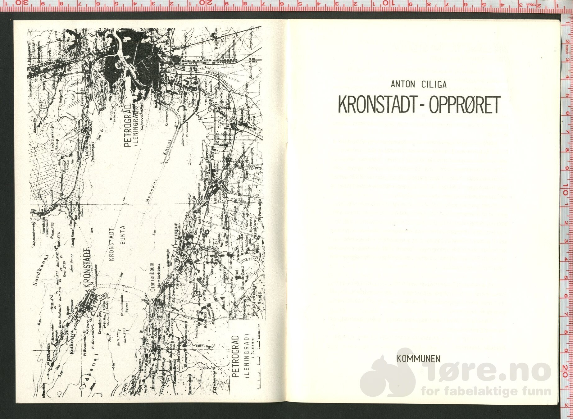 Kronstadt opprøret, bilde 3
