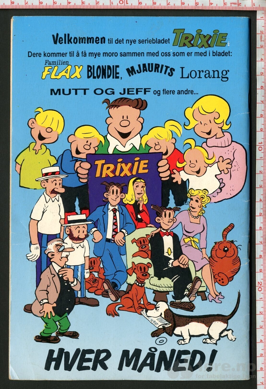 Satelitt serien Nr. 1, 1990, bilde 2