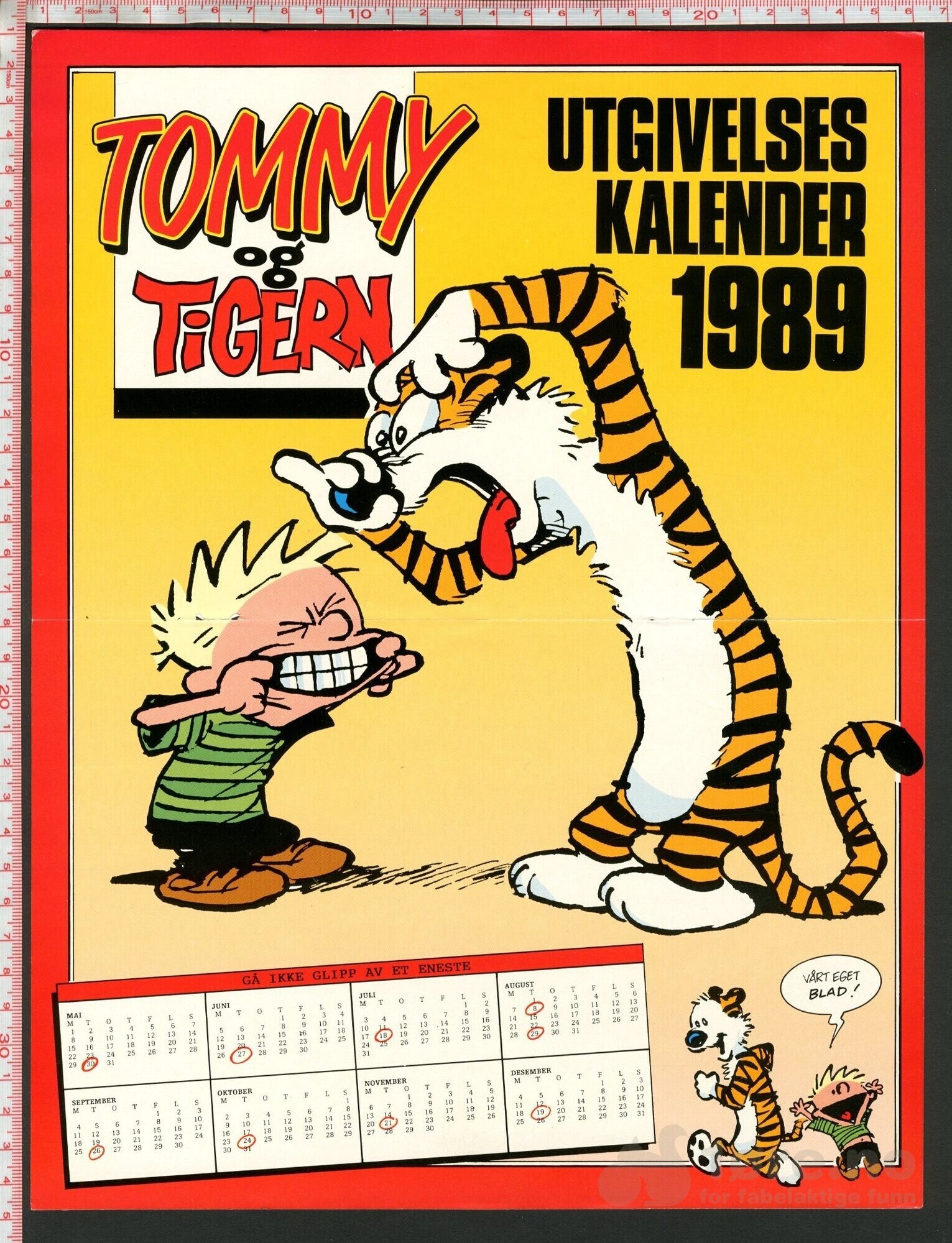 Tommy og tigern Nr. 1, 1989, bilde 3