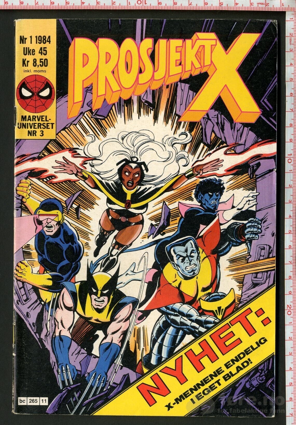 Prosjekt X Nr. 1, 1984