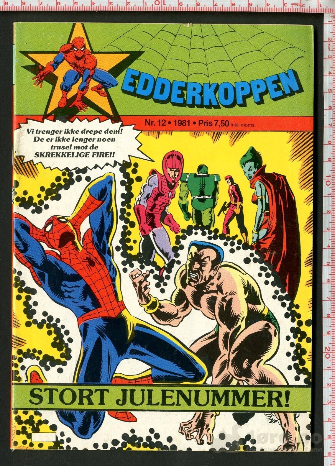 Edderkoppen 1981, bilde 11